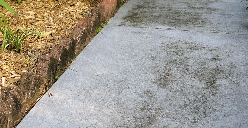 How To Easily Remove Outdoor Mildew And Mold Stains Wet And Forget Blog