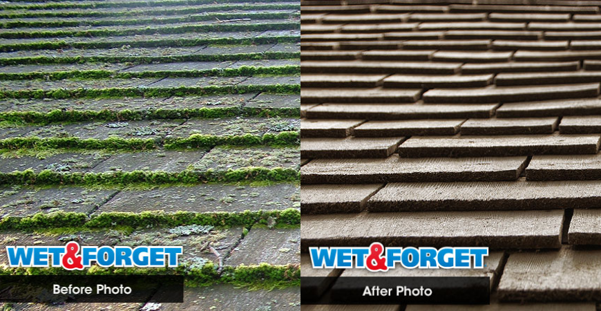 Wet And Forget Easy Outdoor Cleaning